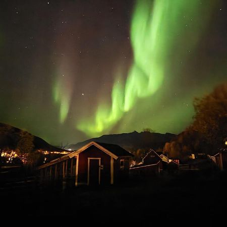 Koselig Dyregard I Tromso Hotel Екстериор снимка