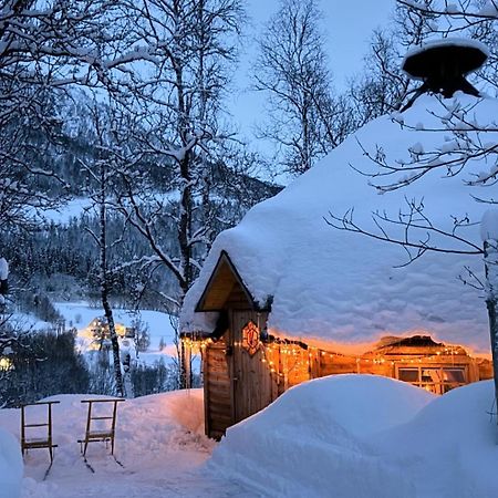 Koselig Dyregard I Tromso Hotel Екстериор снимка