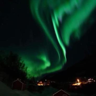 Koselig Dyregard I Tromso Hotel Екстериор снимка